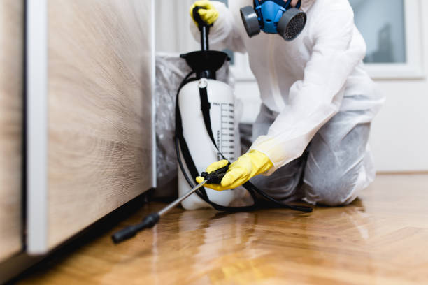 Flea Control Services in Sumiton, AL