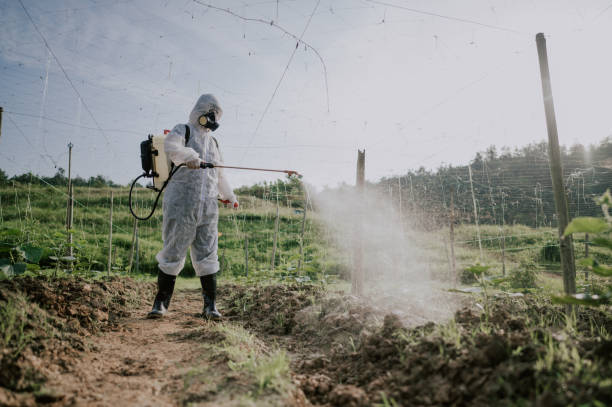 Best Best Pest Control Companies  in Sumiton, AL