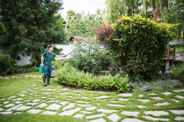 Best Pest Prevention Services  in Sumiton, AL