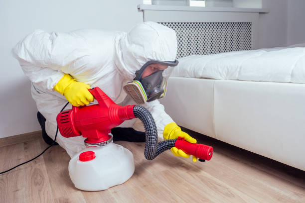 Best Local Pest Control Services  in Sumiton, AL