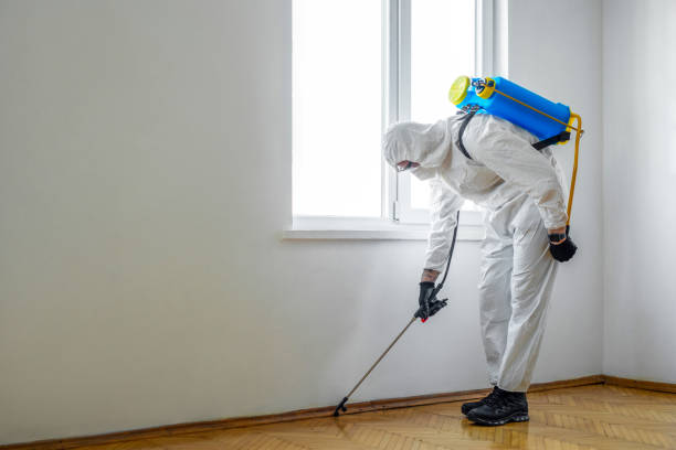 Best Best Pest Control Companies  in Sumiton, AL