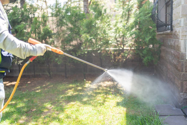Best Wasp Removal Services  in Sumiton, AL