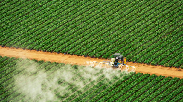 Best Wasp Removal Services  in Sumiton, AL