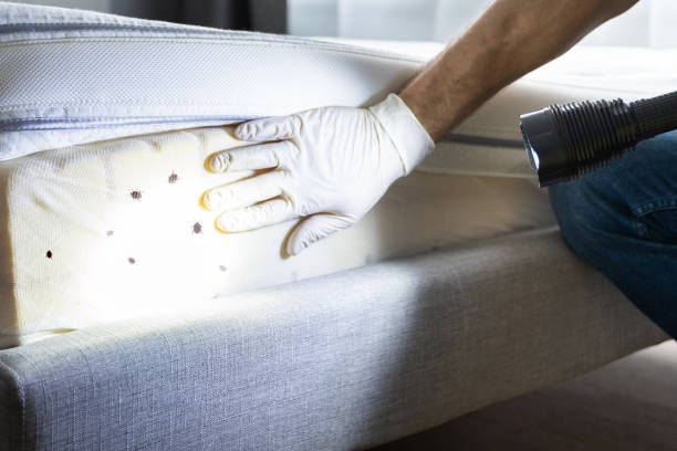 Best Exterminator Services  in Sumiton, AL