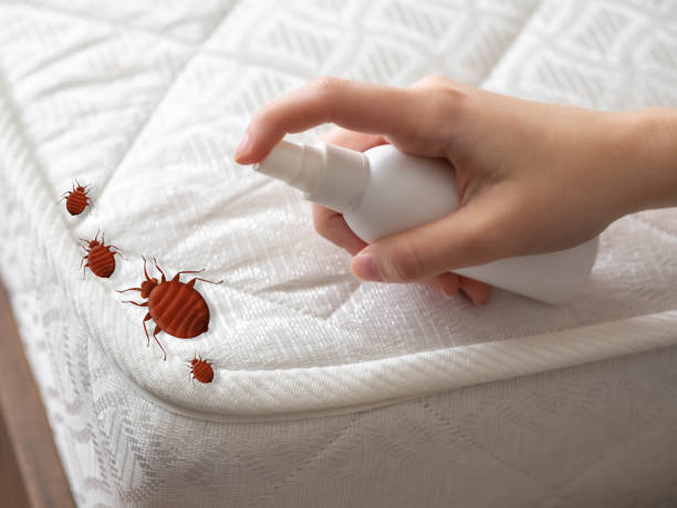 Best Mosquito Control Services  in Sumiton, AL