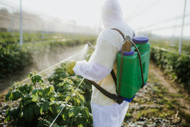 Best Residential Pest Control  in Sumiton, AL